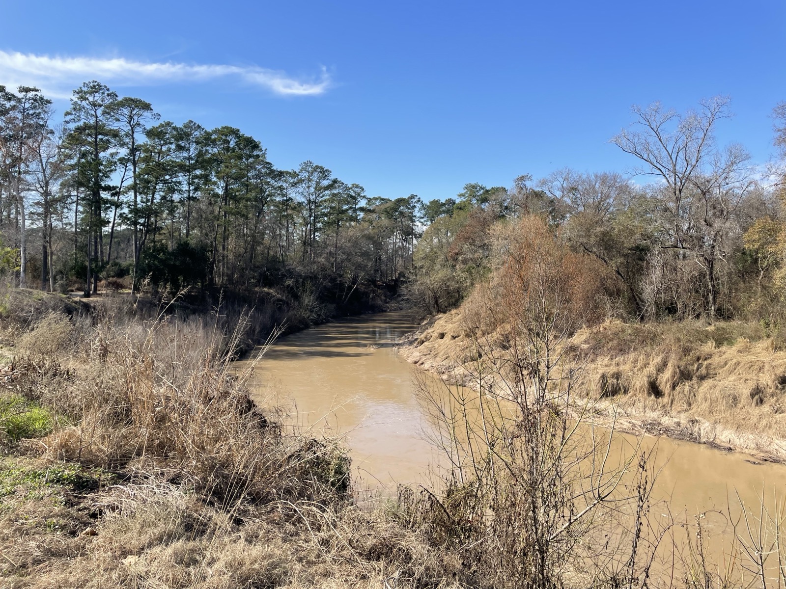 Cypress Creek greenbelt in Cypress, Texas